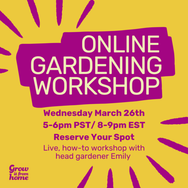 Online Workshop: Growing Cannabis in the Garden